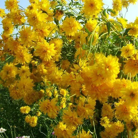 Zenit Hotel Satovcha